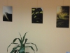 kern_002